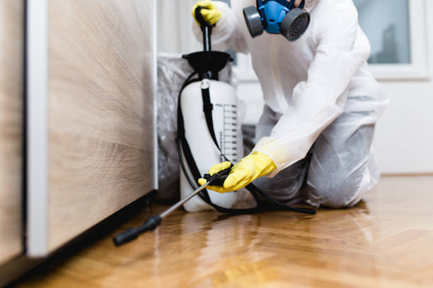 Best Ant Control Services  in Hapeville, GA