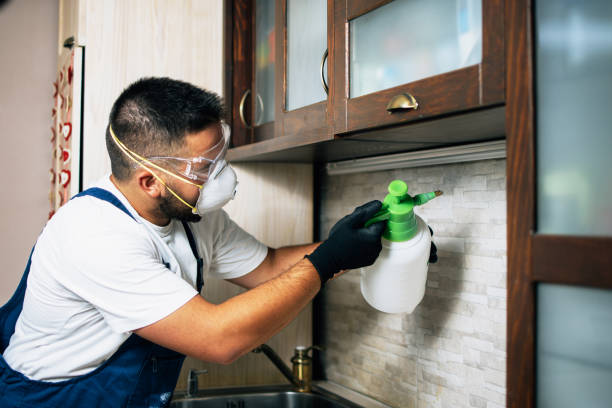 Best Mosquito Control Services  in Hapeville, GA