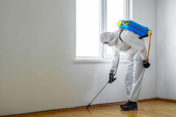 Best Termite Control Services  in Hapeville, GA