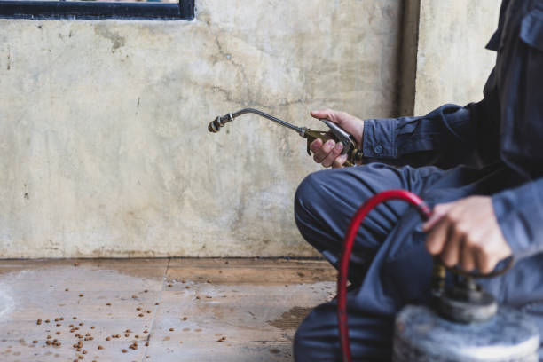 Flea Control Services in Hapeville, GA
